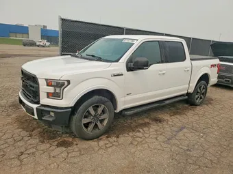 2017 Ford F-150 1FTEW1EG4HFB95299