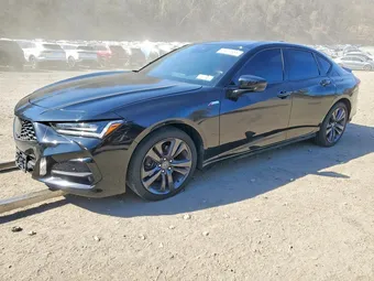 2022 Acura TLX 19UUB5F50NA005813
