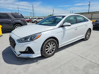 2019 Hyundai Sonata 5NPE24AF7KH779283 Lot 52806846