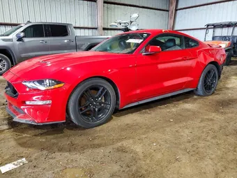 2021 Ford Mustang 1FA6P8TH4M5100817 Lot 51879556