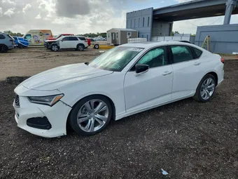 2021 Acura TLX 19UUB5F45MA003481