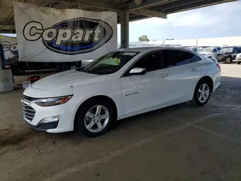 2020 Chevrolet Malibu 1G1ZG5STXLF048204 Lot 52008106