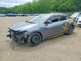 2023 Nissan Maxima 1N4AA6CV0PC511329