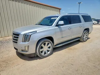 2020 Cadillac Escalade 1GYS4HKJ7LR113858