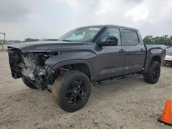 2022 Toyota Tundra 5TFLA5DB4NX014310