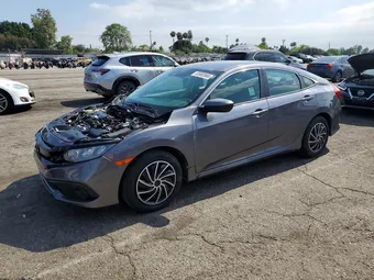 2020 Honda Civic 2HGFC2F67LH534431 Lot 53982866