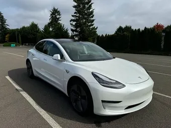 2020 Tesla Model 3 5YJ3E1EA9LF613004 Lot 62113796