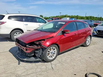 2016 Ford Focus 1FADP3K24GL251518 Lot 53338776