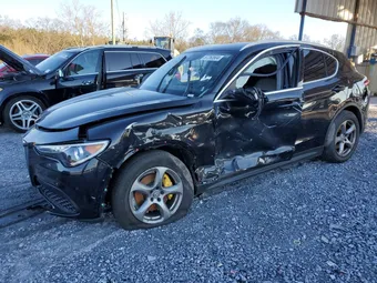2019 Alfa Romeo Stelvio ZASPAKAN8K7C44885