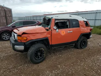 2014 Toyota FJ Cruiser JTEBU4BF4EK194223