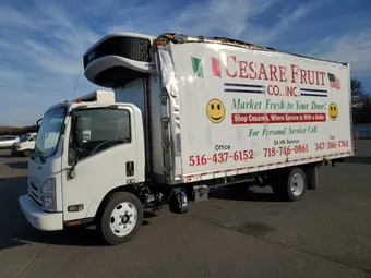 2022 Isuzu JALE5W164N7300666