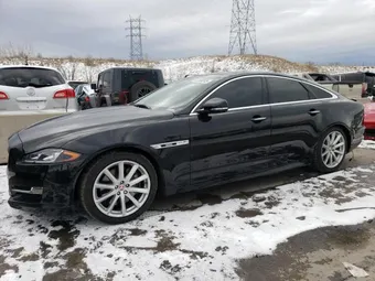 2019 Jaguar XJ-Series SAJWJ1CD7K8W19566