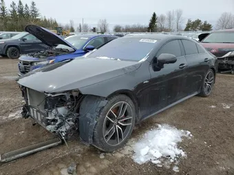 2019 Mercedes-Benz CLS-Class WDD2J6BBXKA029810