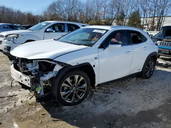 2019 Lexus UX 250H JTHU9JBH1K2016455