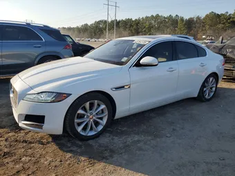 2019 Jaguar XF SAJBJ4FX4KCY81323