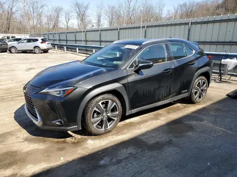 2019 Lexus UX JTHU9JBH5K2011145