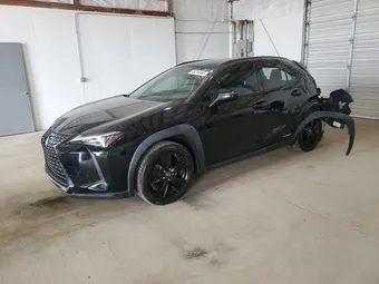 2019 Lexus UX 250H JTHU9JBH6K2002745