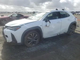 2020 Lexus UX 250H JTHR9JBH6L2028544