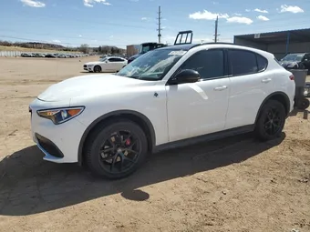 2019 Alfa Romeo Stelvio ZASPAKBN1K7C49862