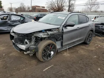 2020 Alfa Romeo Stelvio ZASPAKAN6L7C95545