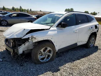 2024 Hyundai Tucson 5NMJBCDE4RH385954 Lot 49658896