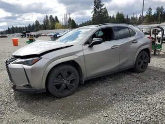 2021 Lexus UX JTHP9JBH6M2046244