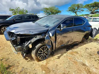 2024 Lexus NX JTJGDCAZ8R2010534