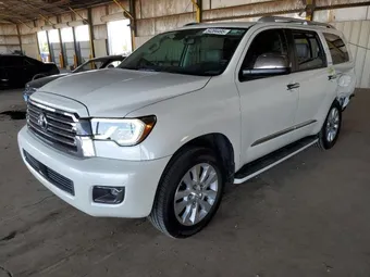 2019 Toyota Sequoia 5TDDY5G10KS173524