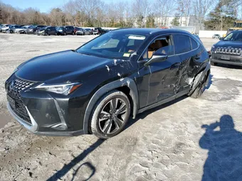 2019 Lexus UX JTHU9JBH6K2013440