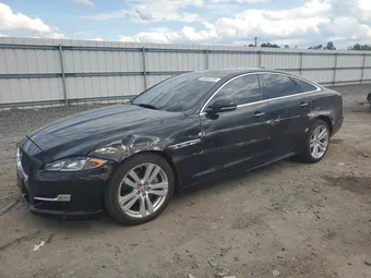2019 Jaguar XJ SAJWA1C7XK8W21242