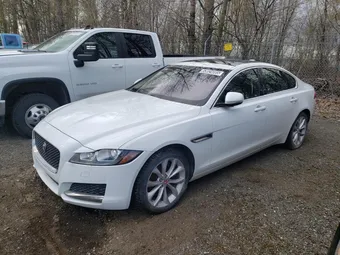 2019 Jaguar XF SAJBJ4FX0KCY79424