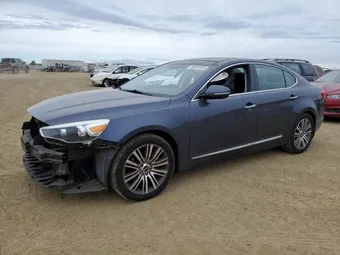 2014 Kia Cadenza KNALN4D76E5146309