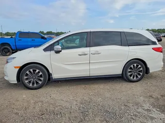 2024 Honda Odyssey 5FNRL6H6XRB007868