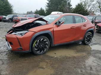 2020 Lexus UX JTHP9JBHXL2020762