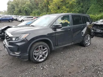 2023 Honda Passport 5FNYF8H55PB022183