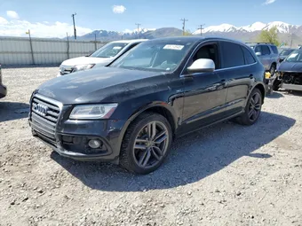 2014 Audi SQ5 WA1VGAFP3EA094219