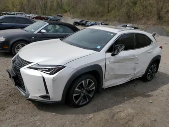 2019 Lexus UX JTHU9JBH8K2015836