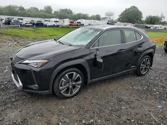 2021 Lexus UX JTHP9JBH4M2052480