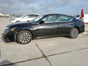 2023 Nissan Altima 1N4BL4DV4PN312788