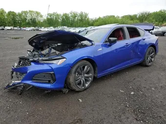 2021 Acura TLX 19UUB5F53MA004069 Lot 55300365