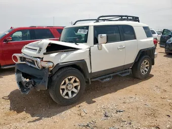 2014 Toyota FJ Cruiser JTEBU4BF8EK183659