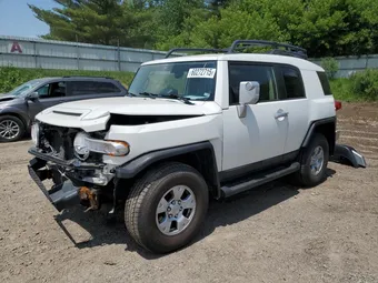 2014 Toyota FJ Cruiser JTEBU4BF1EK183051