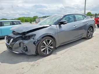 2023 Nissan Maxima 1N4AA6CVXPC511516