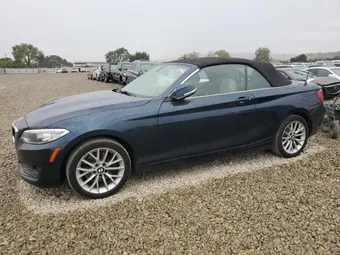 2015 BMW 2 Series WBA1K5C55FV474067