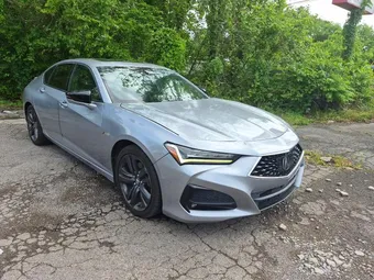 2021 Acura TLX 19UUB6F50MA003208