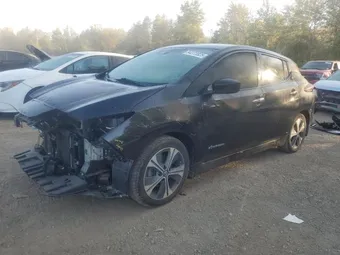 2018 Nissan Leaf 1N4AZ1CP0JC316111