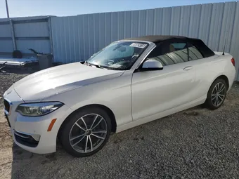 2019 BMW 2ER WBA2K1C53KVD41981