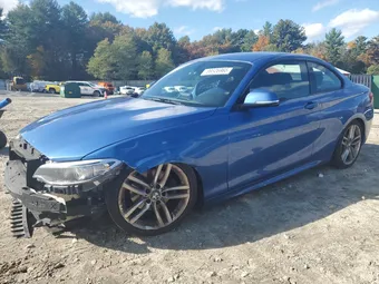 2015 BMW 2ER WBA1G9C54FVX96434