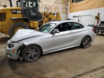 2017 BMW 2ER WBA2G3C34HV641370