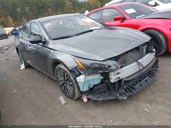 2024 Nissan Altima 1N4BL4DV6RN356861 Lot 43556873